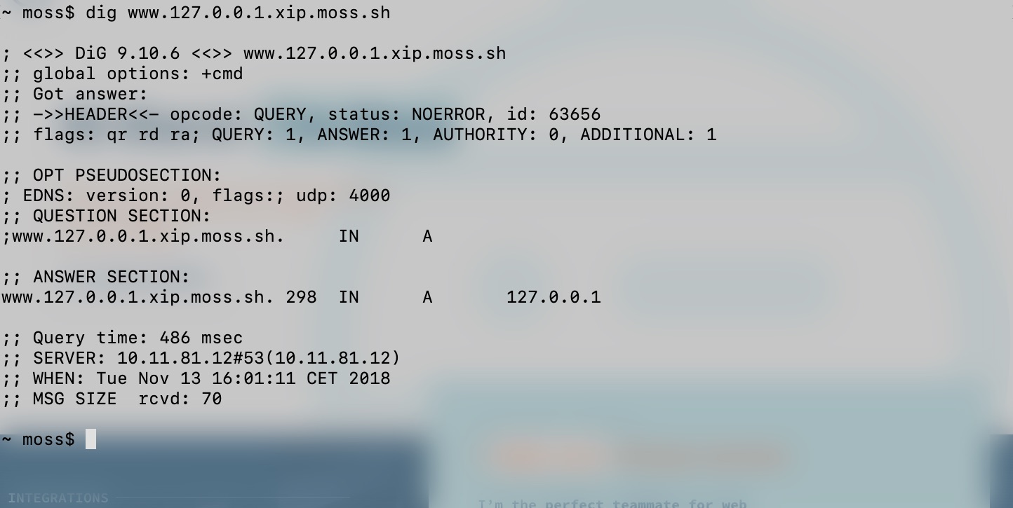 free-wildcard-dns-services-for-ip-addresses-moss